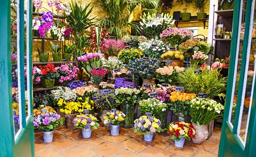 bloemenzaak franchise