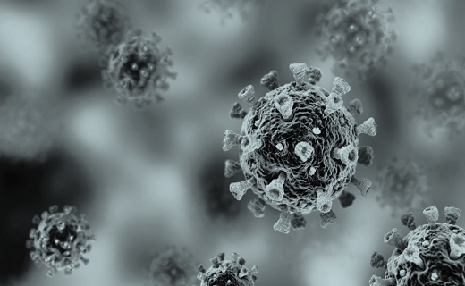 Coronavirus Coronavirus