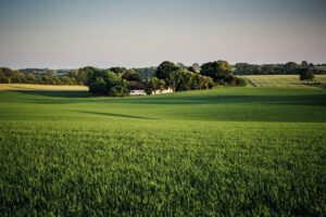 Erfpacht landelijk gebied