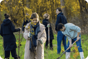 Trees For All Partner