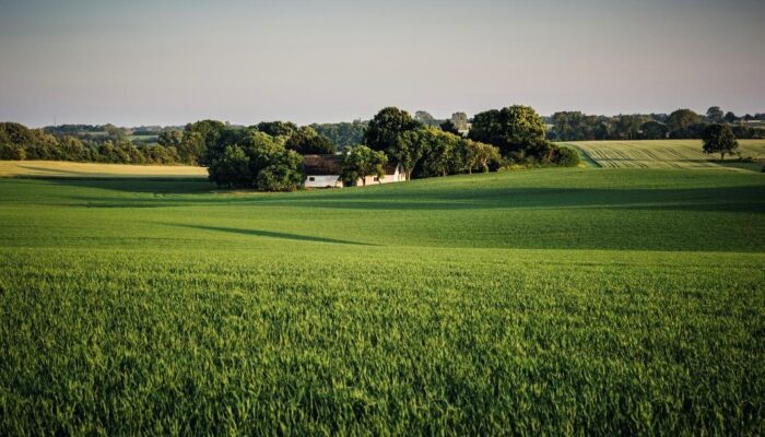 pachtnormen binnen het pachtrecht