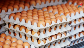 Boete voor eierhandelaren vanwege concurrentievervalsing